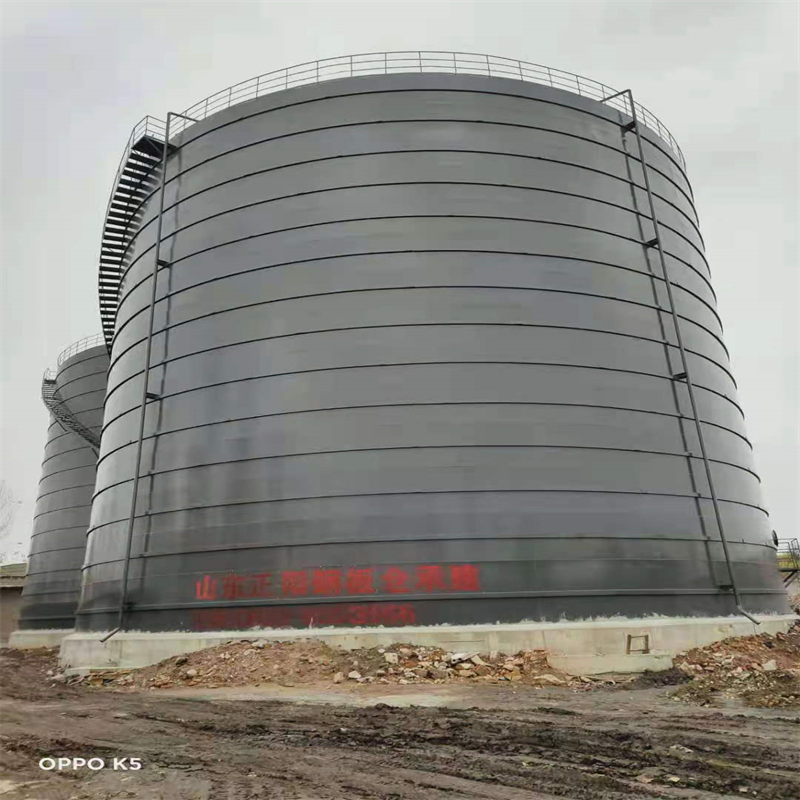 万宁3万吨大型钢板库