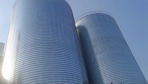 万宁2座混凝土高架卷板仓